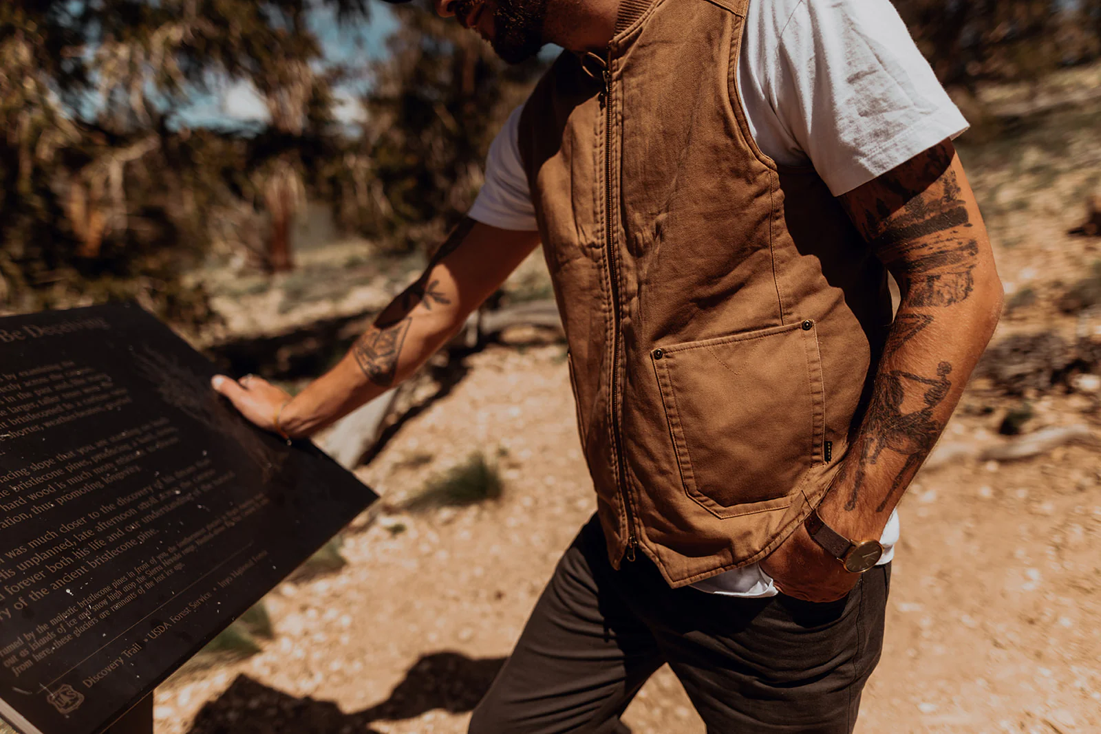 Assist Vest - Dark Tan - Image 3